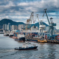 WhatsApp Image 2026-02-19 at 4.00.47 PM (3)